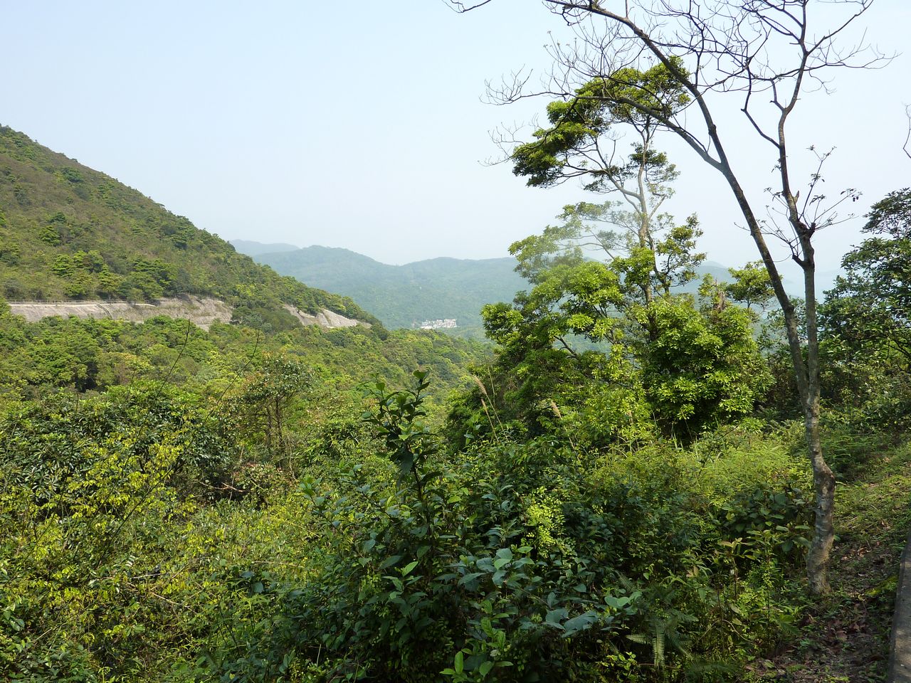 P1060129