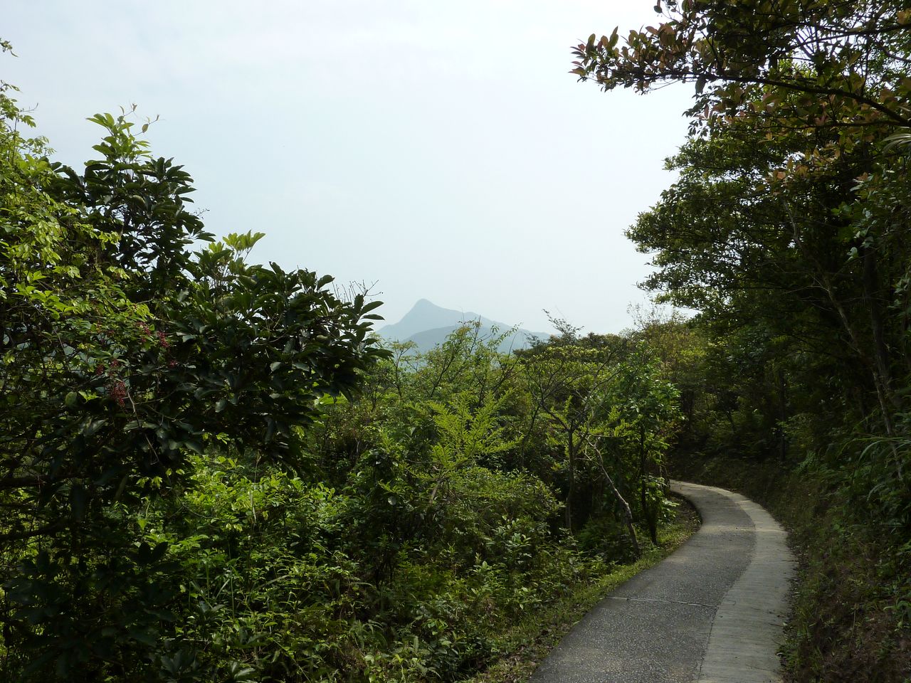 P1060174