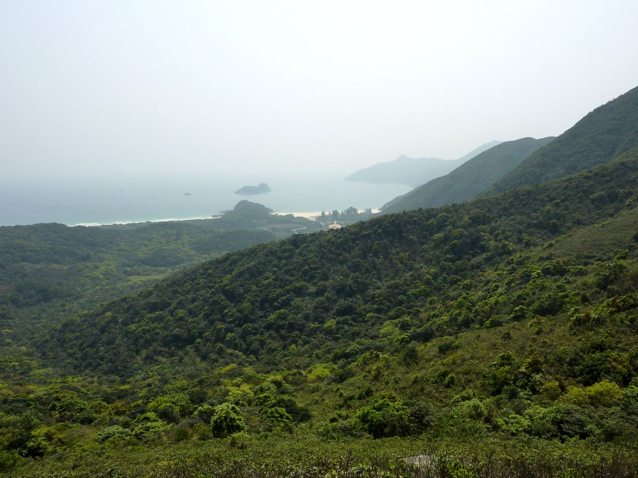 P1060264