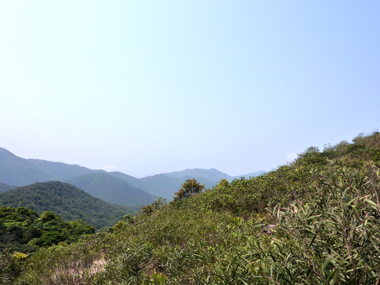 P1060270