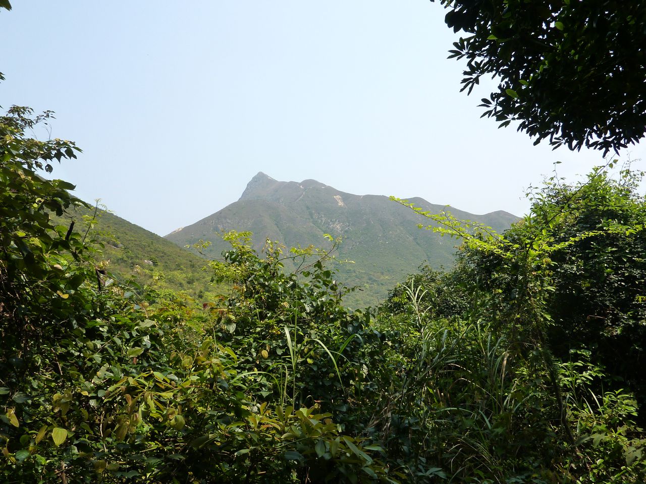 P1060294