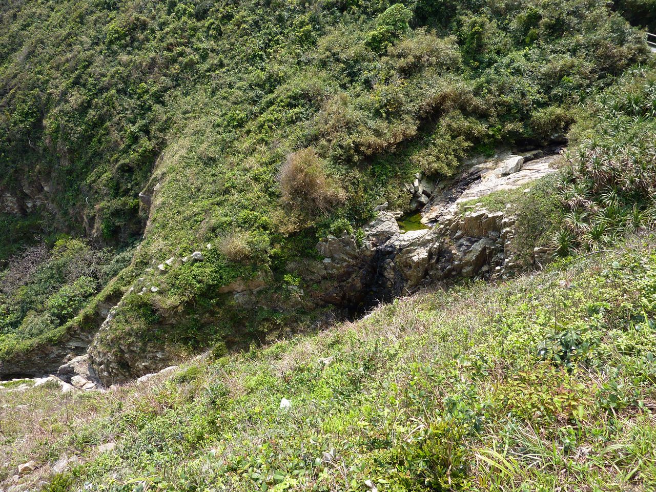 P1060390