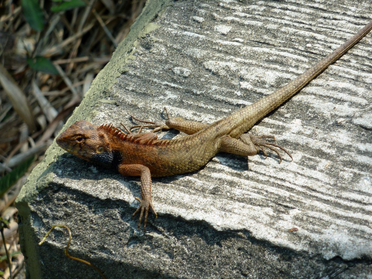 P1060396