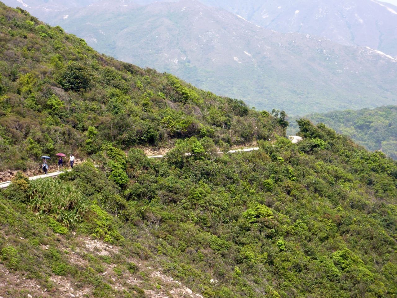 P1060408