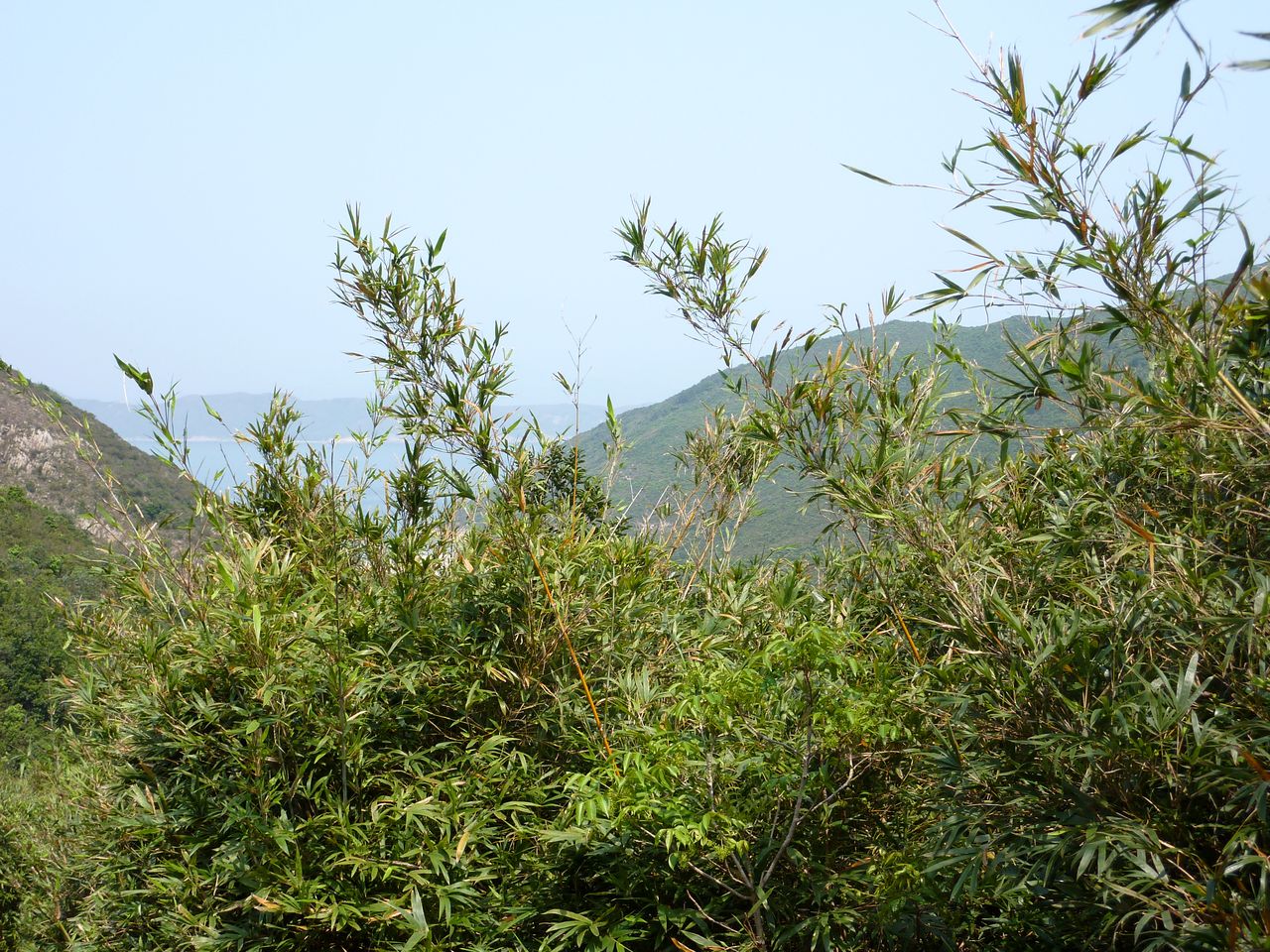 P1060457