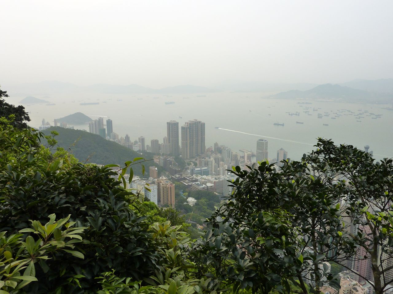 P1060933