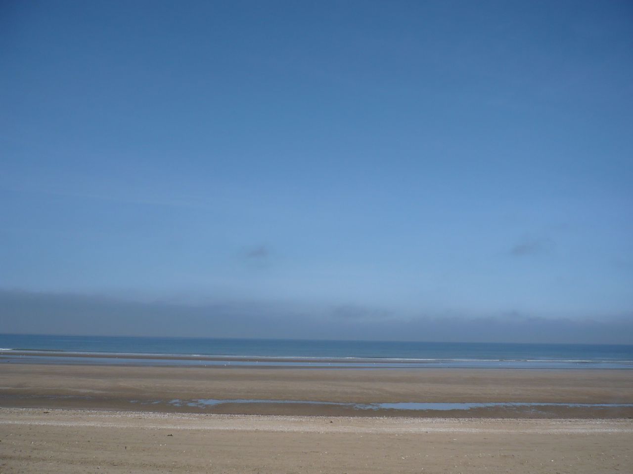 P1000447