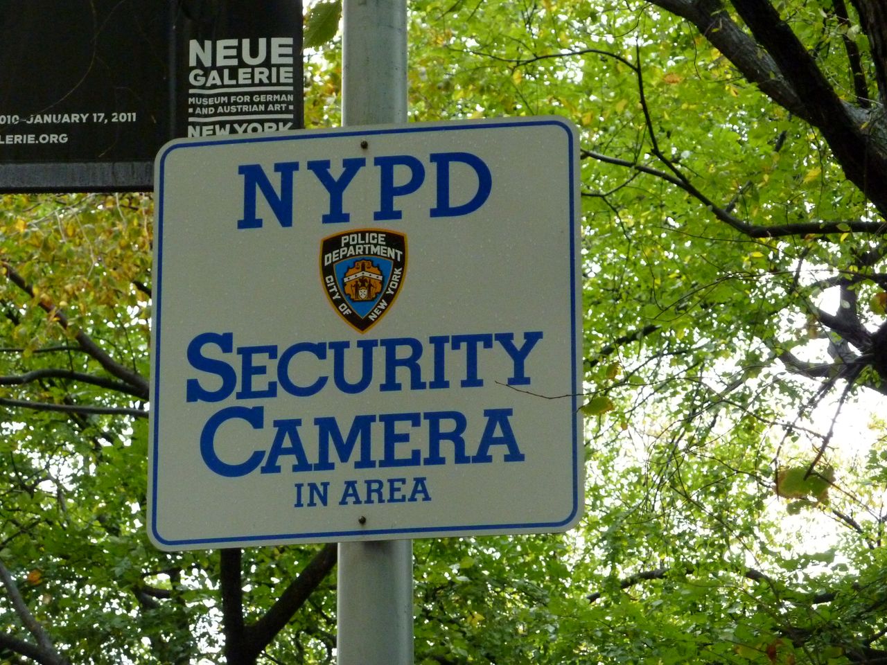 P1080658