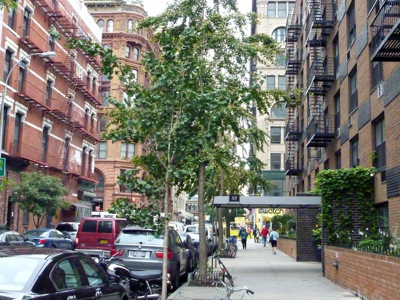 P1090102