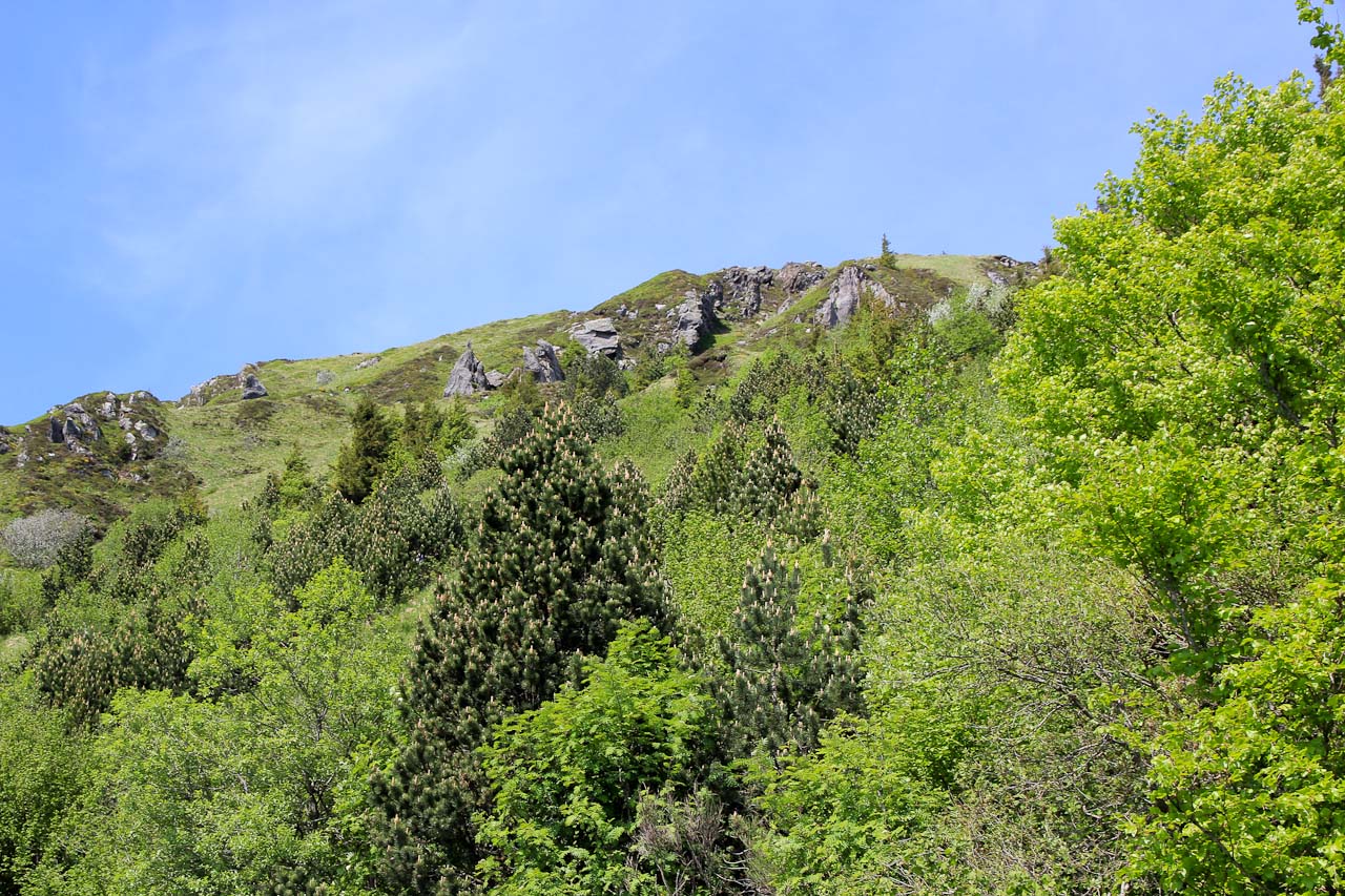 IMG_8101