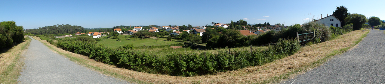 DSC00819