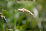 IMG_8857