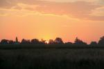 IMG_9139