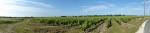 DSC00984