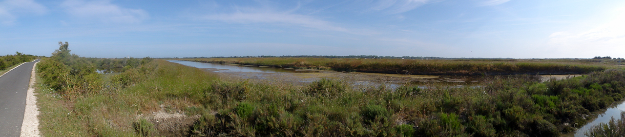 DSC00986