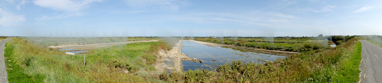 DSC00988