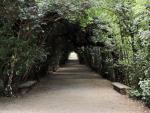 Florence_Fiesole-19