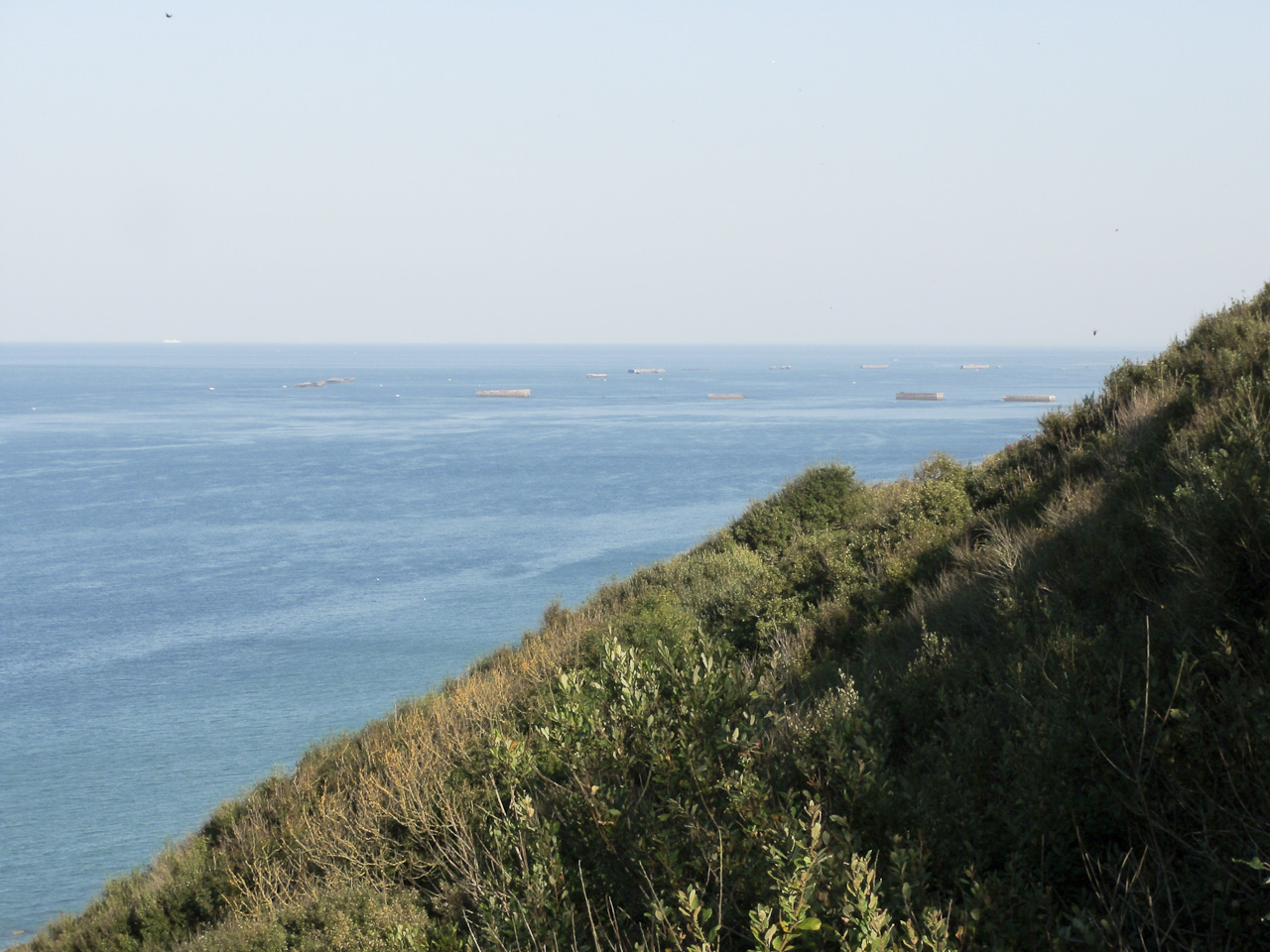 DSC03525