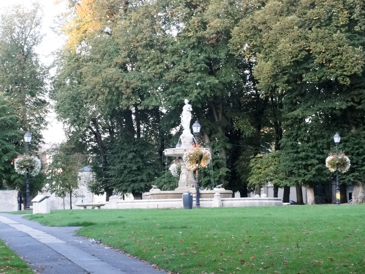 DSC03540