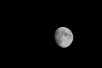 Lune