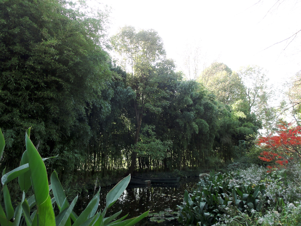 DSC04133