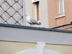 DSC04384