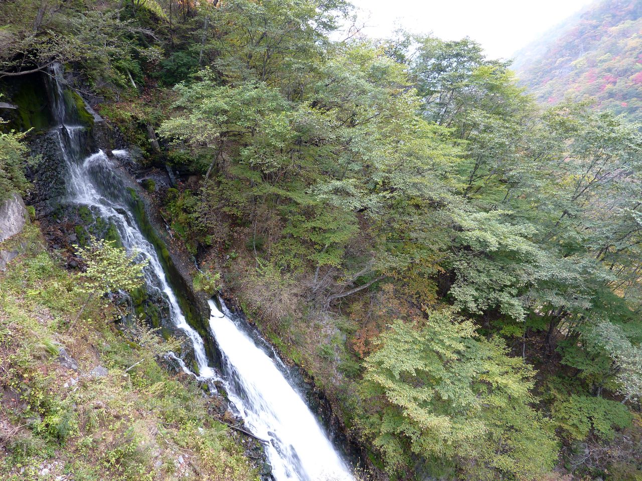 P1000385