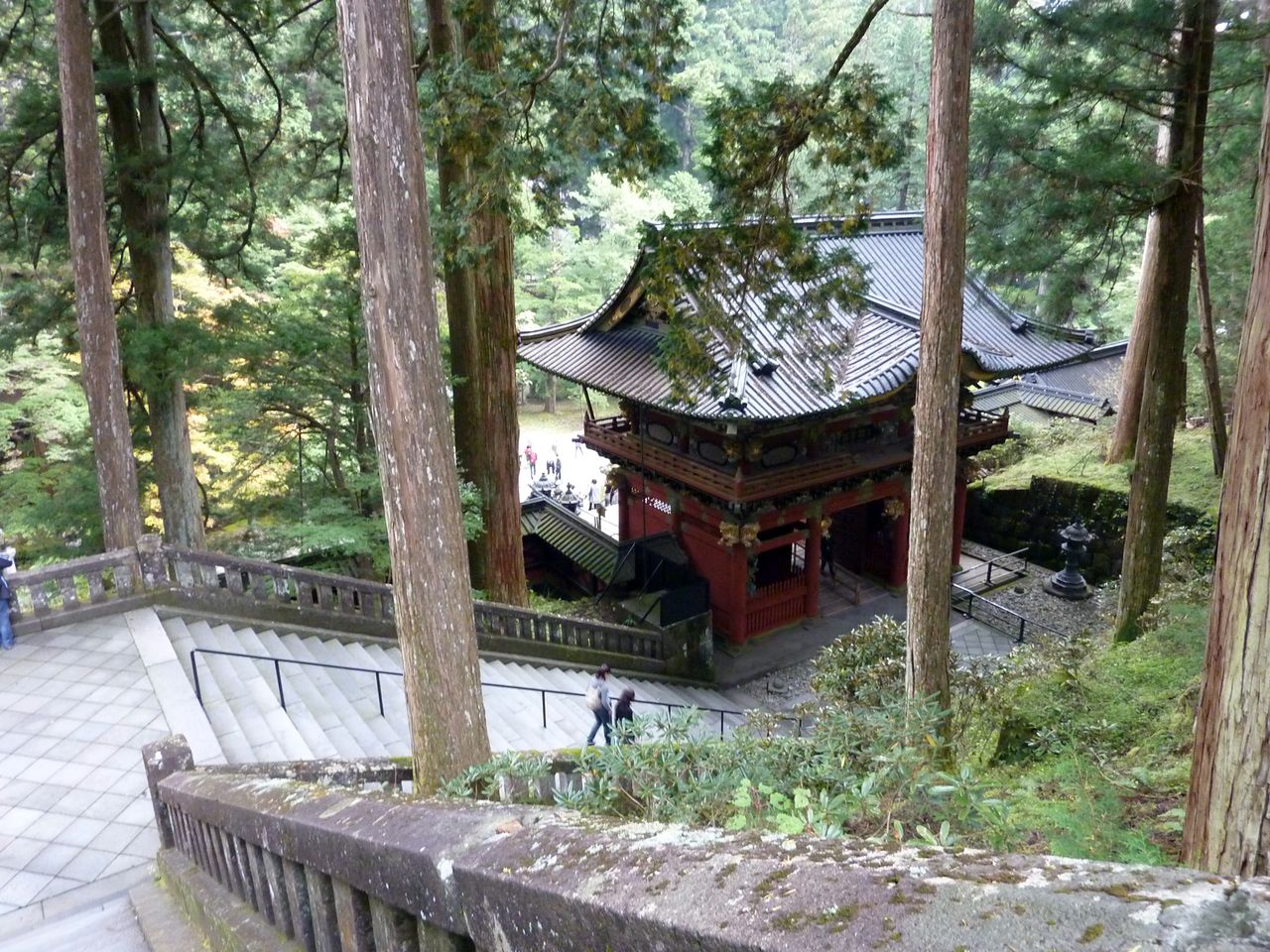 P1000584
