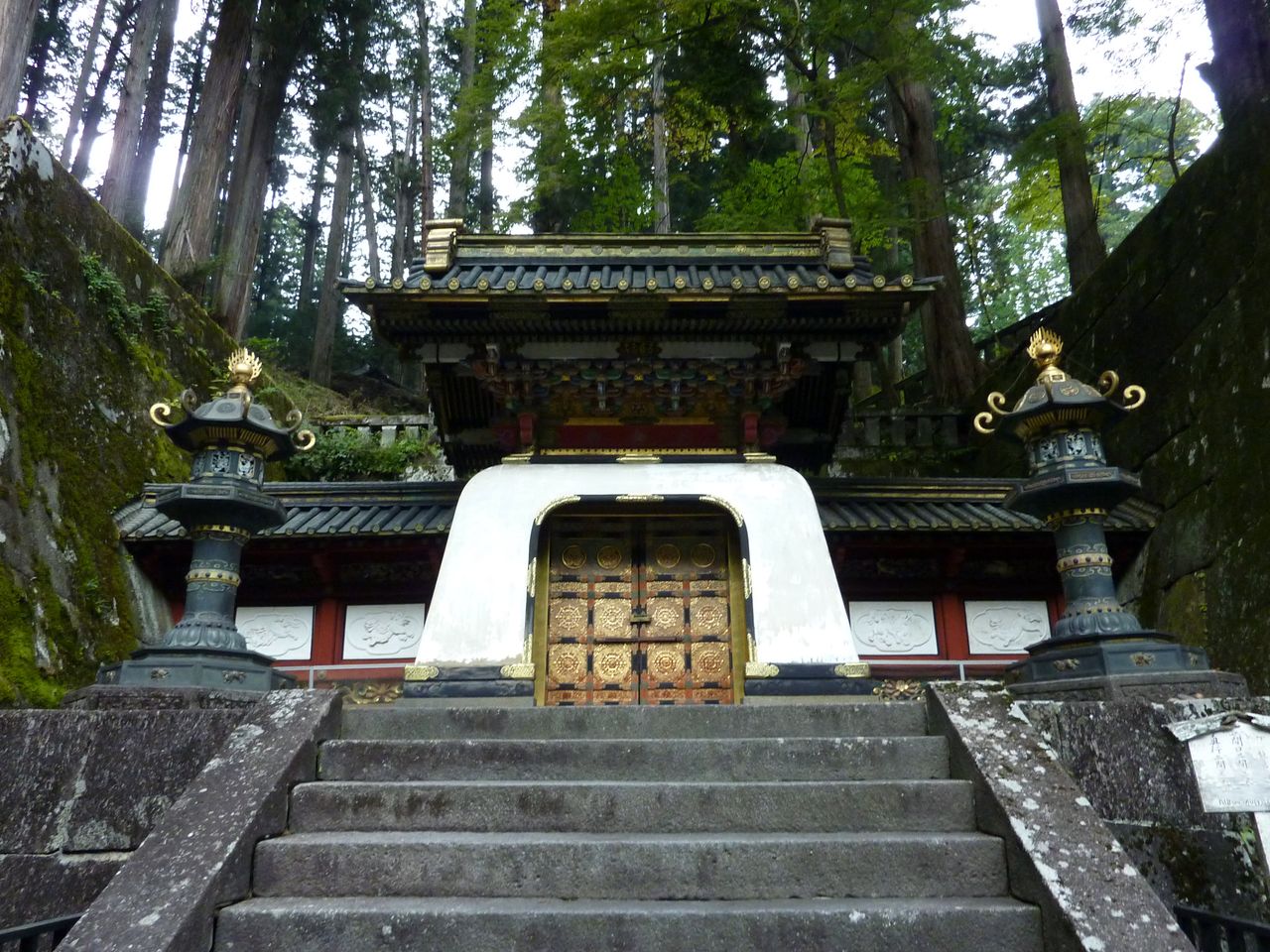P1000604