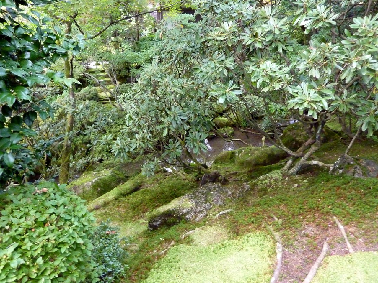 P1000718