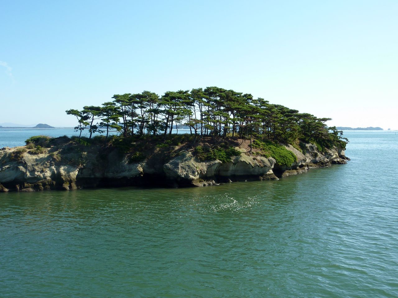 P1000878