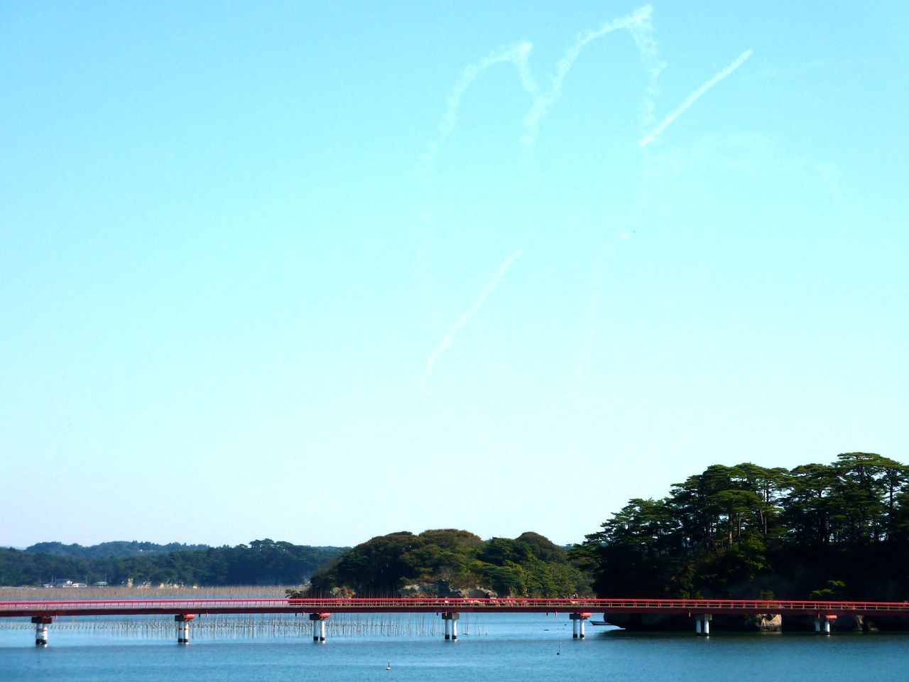 P1000909
