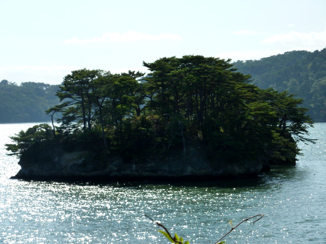 P1000954