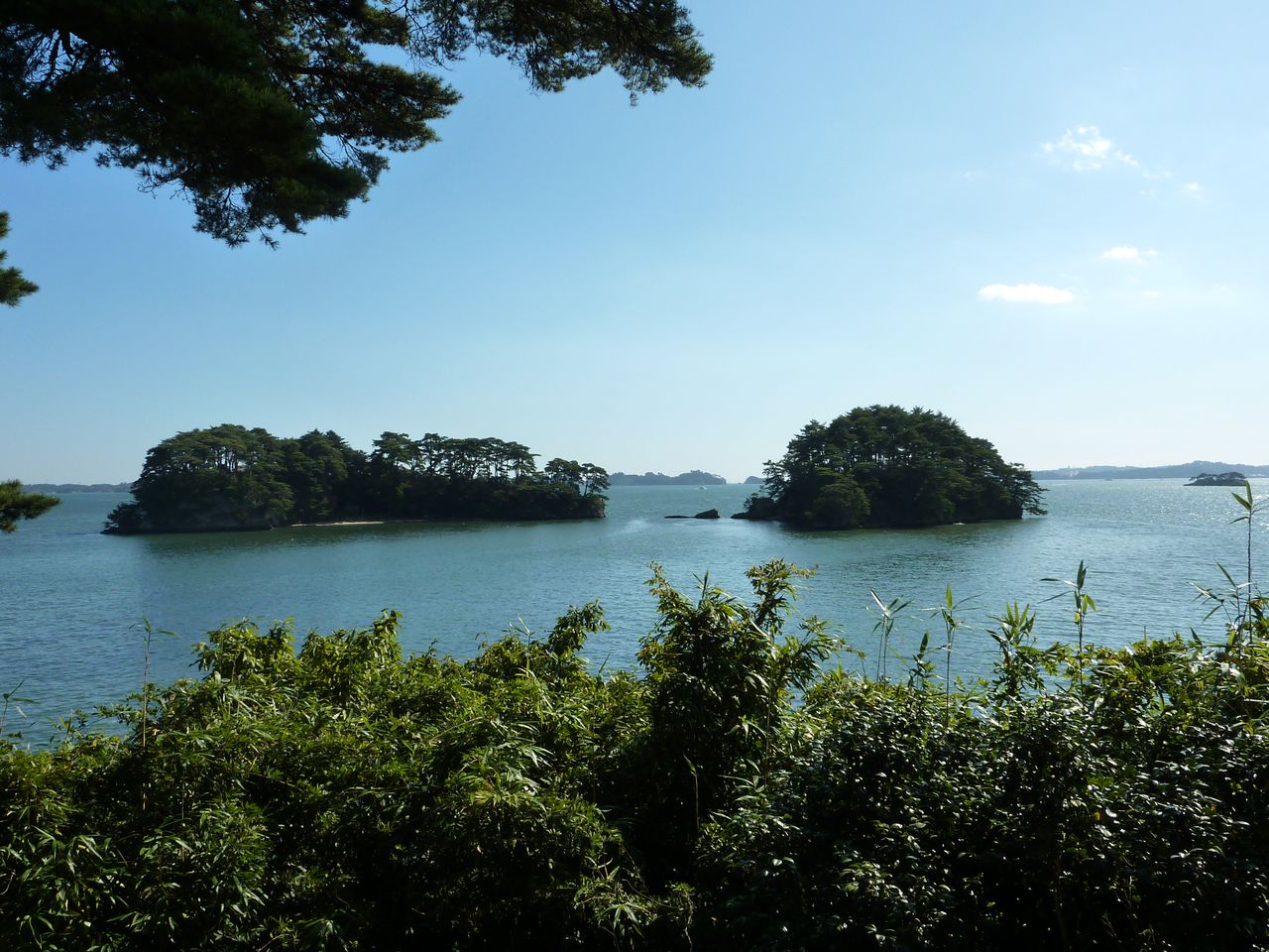 P1000958
