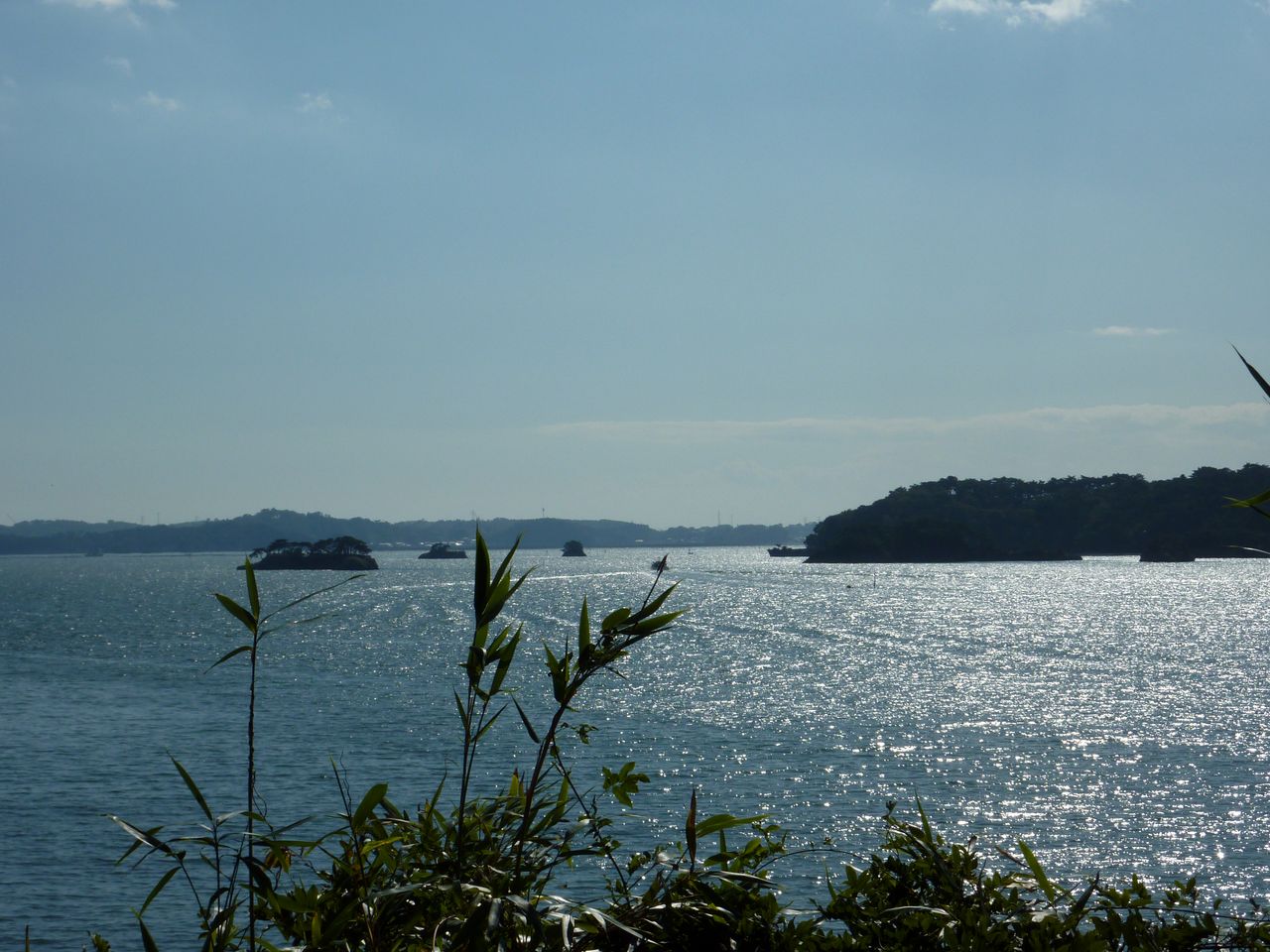 P1000961