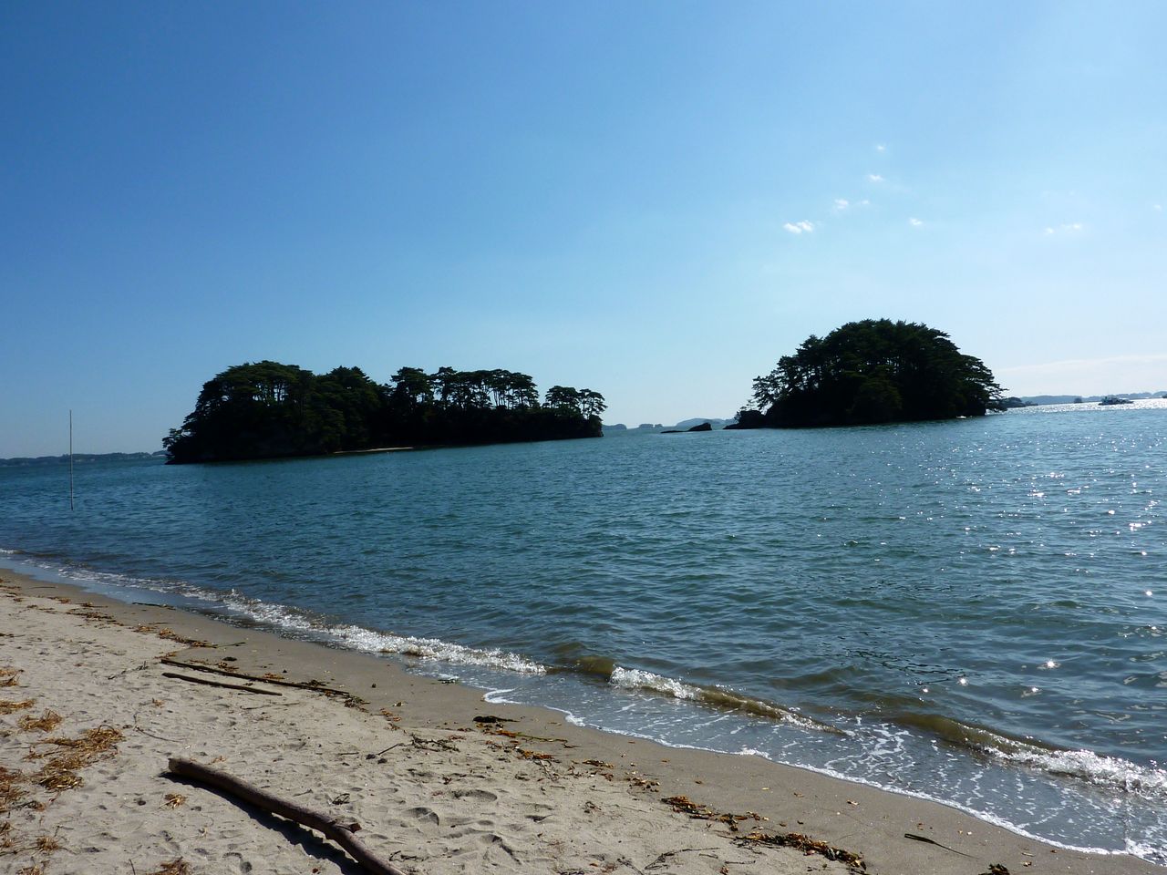 P1000966