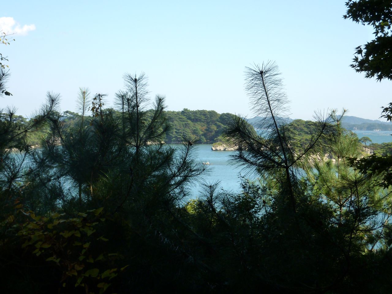 P1000968