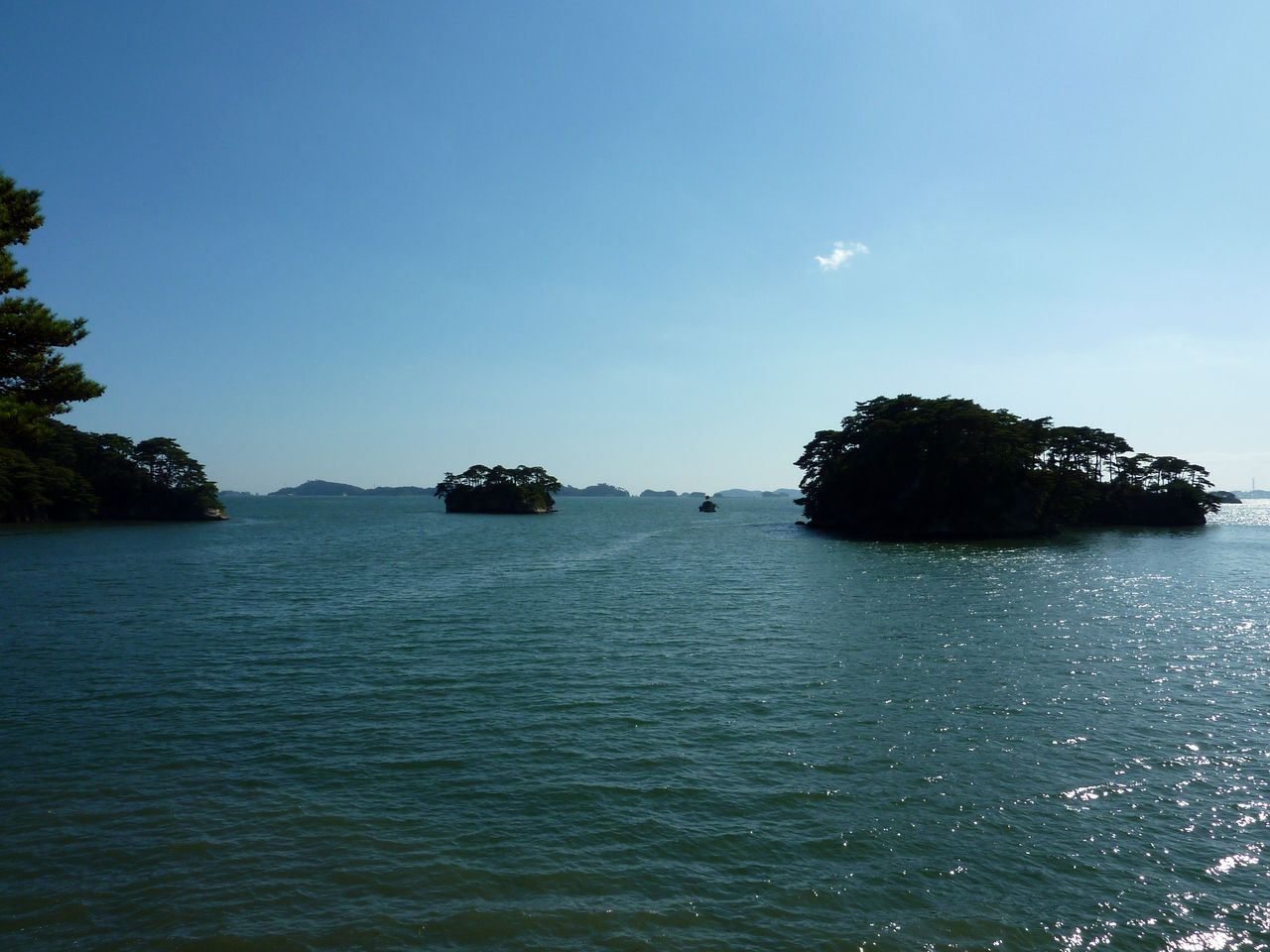 P1000974