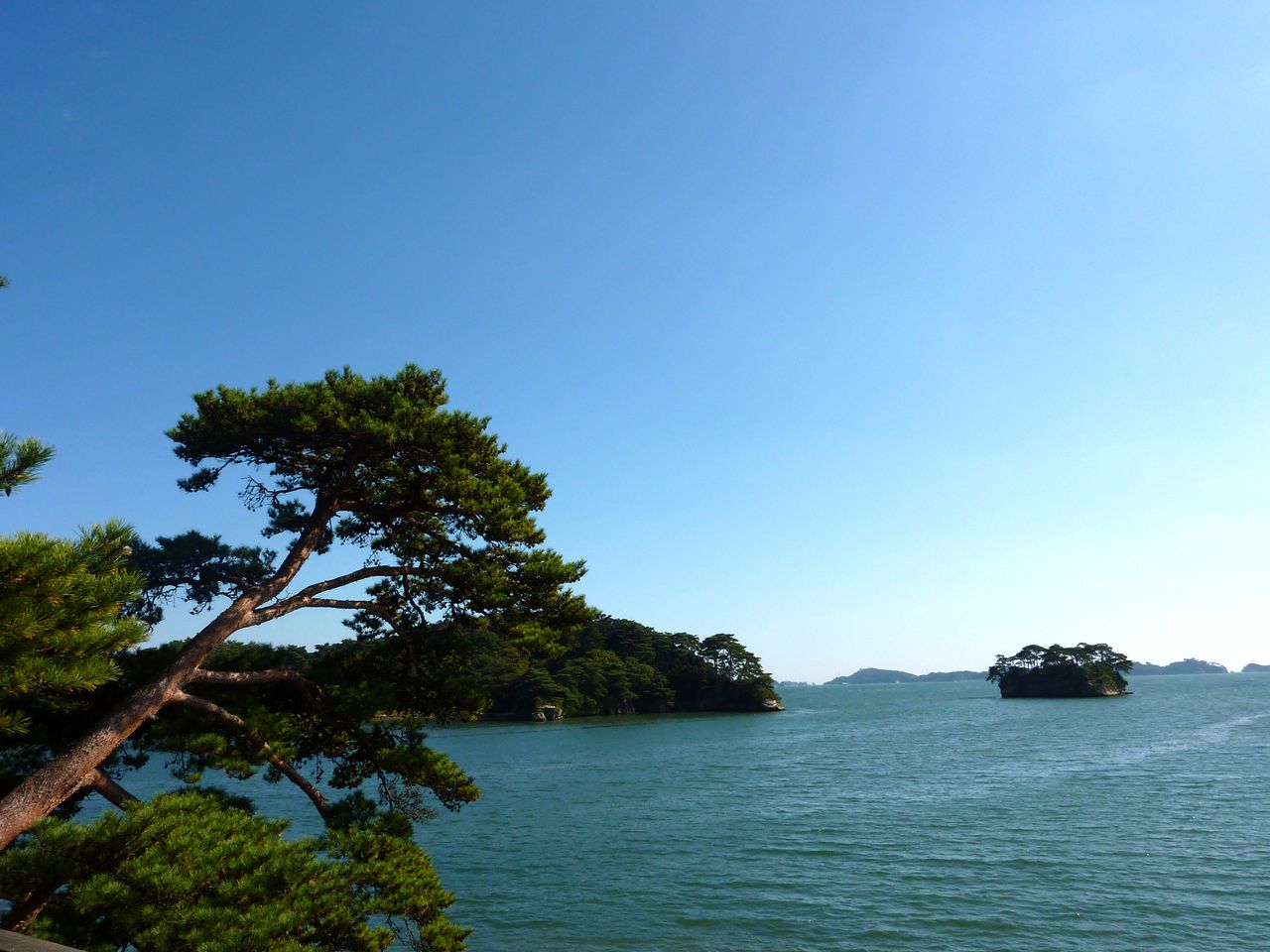 P1000978