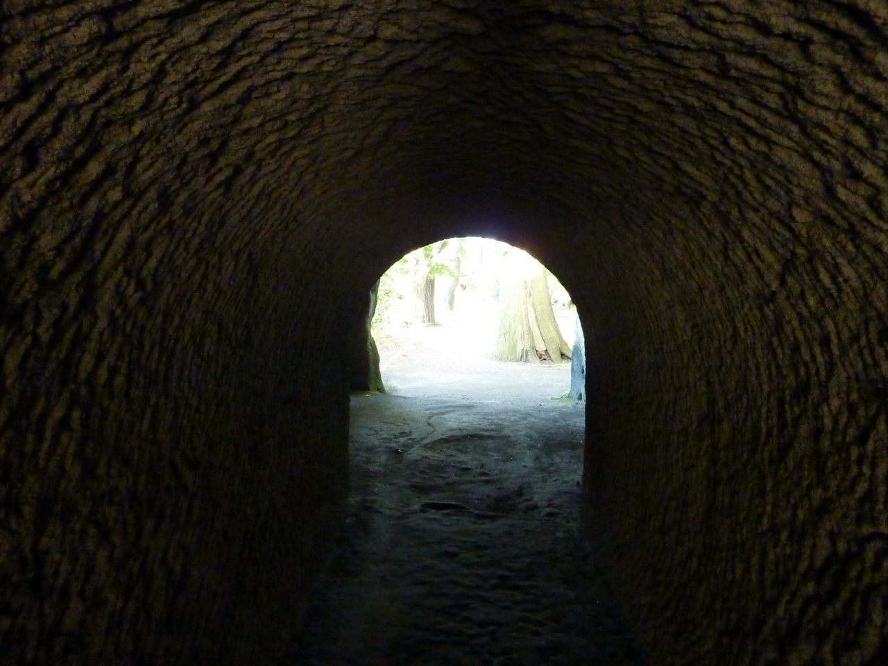 P1010050