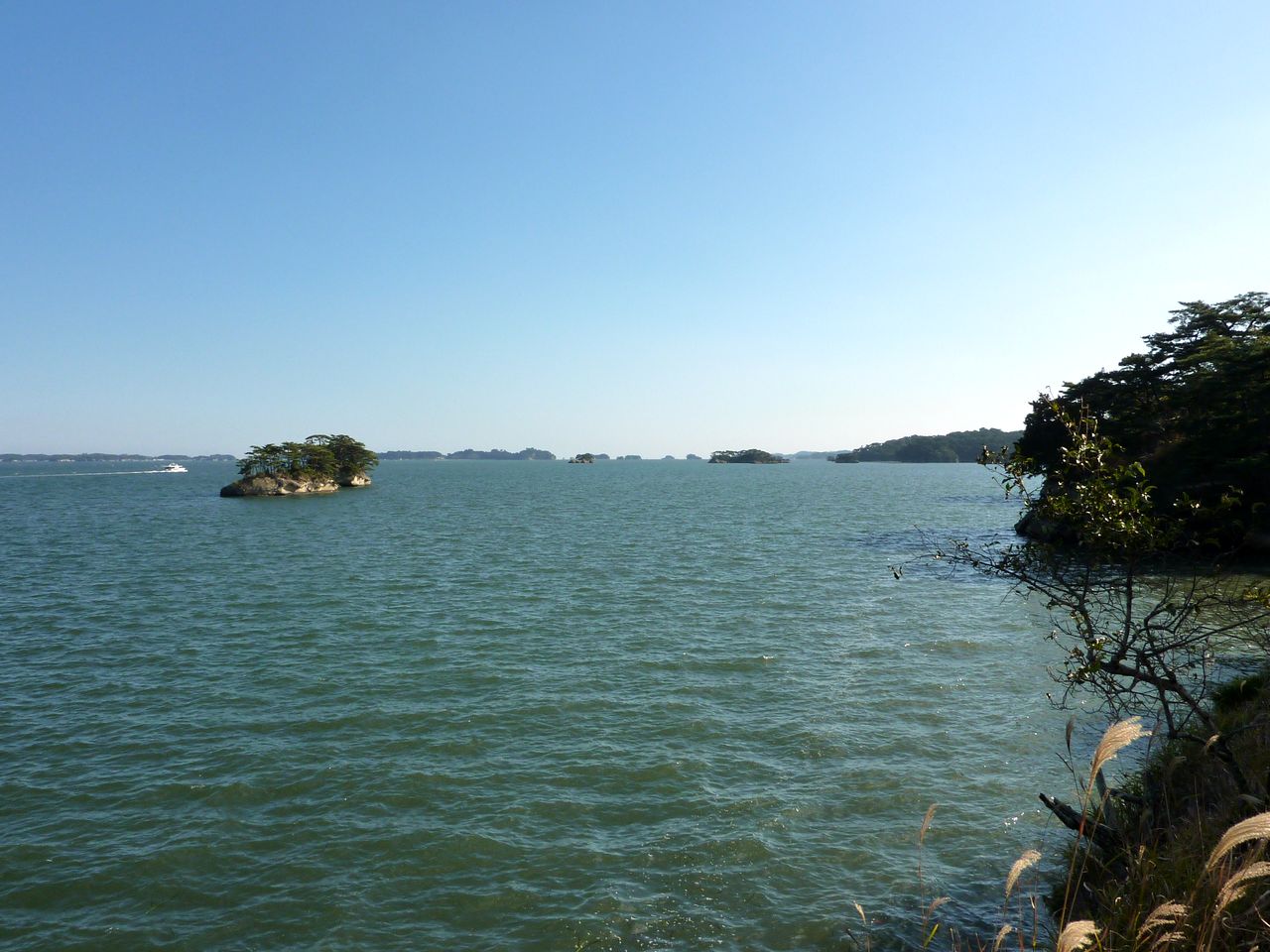 P1010074