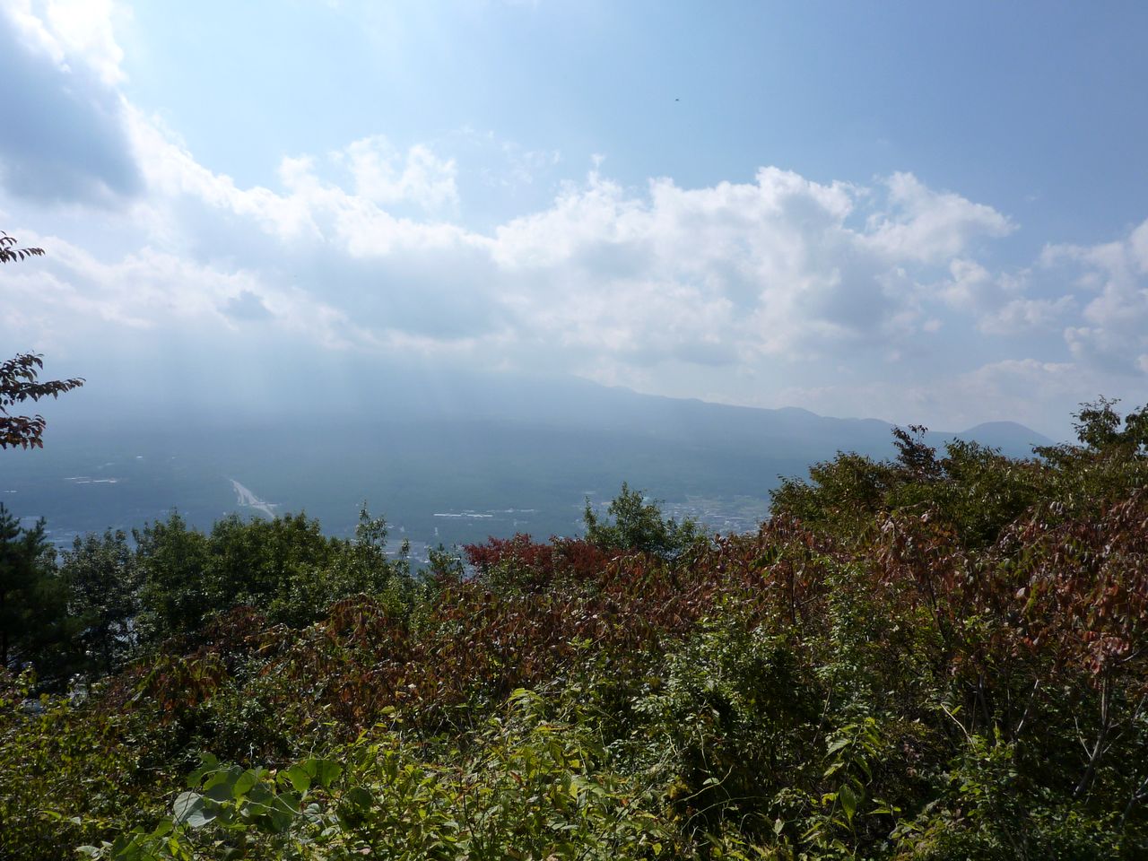 P1010218
