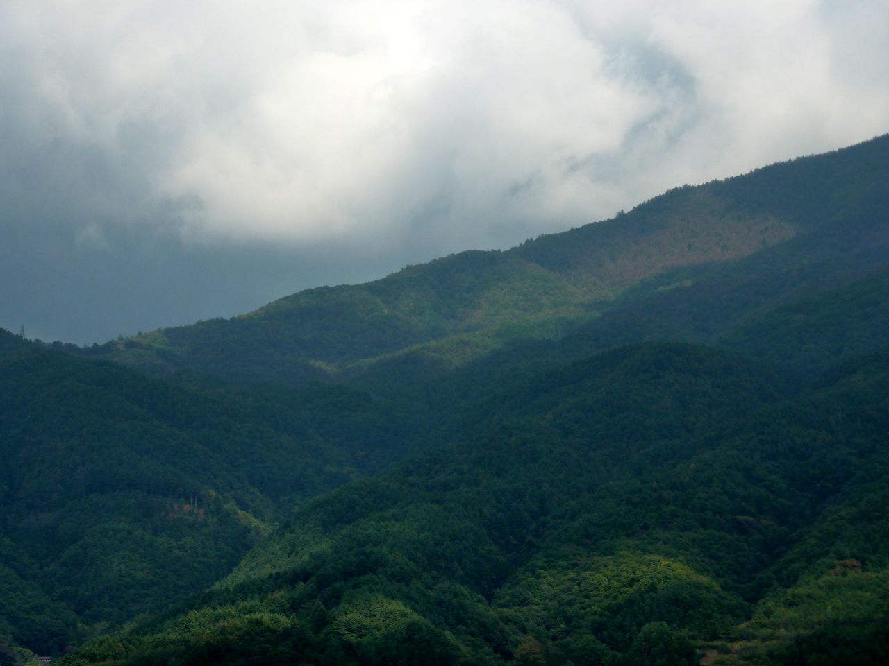 P1010369