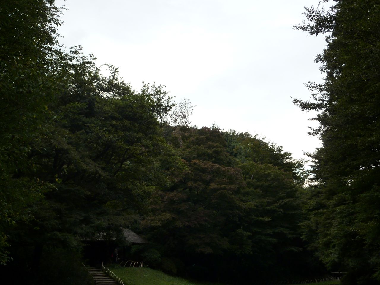 P1010523