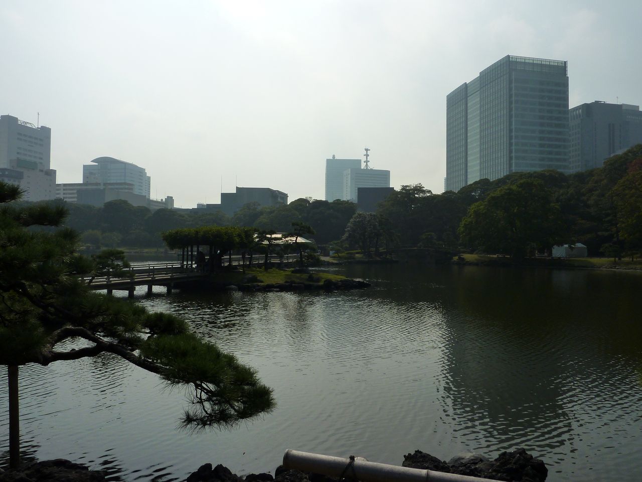 P1010585
