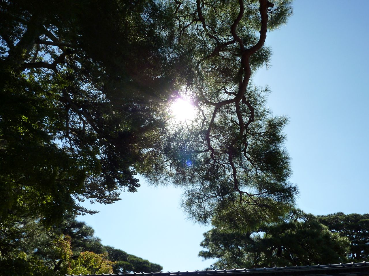 P1020426