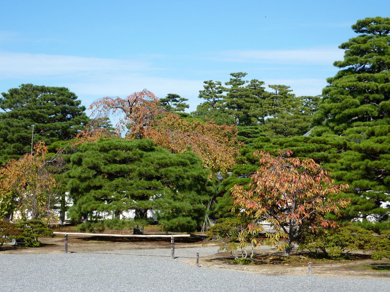P1020443