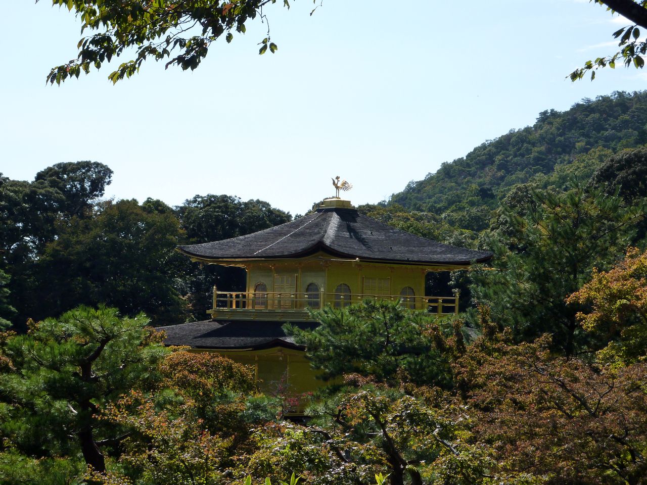 P1020531