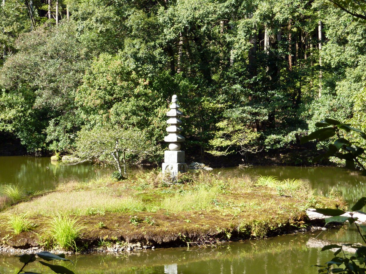 P1020535