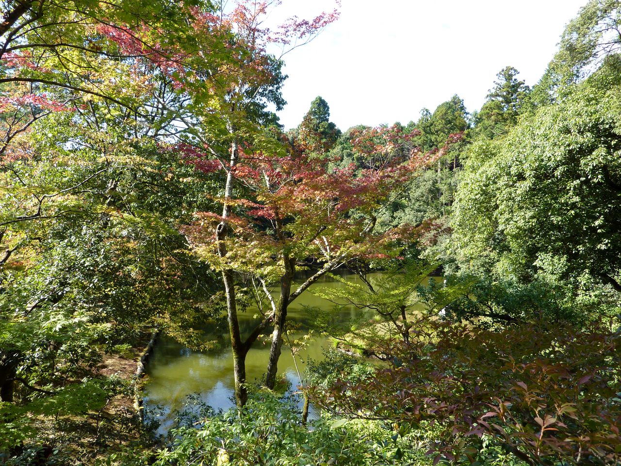 P1020540